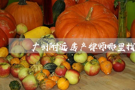 广州附近房产律师哪里找 广州附近房产律师哪里找