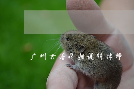 广州靠谱婚姻调解律师 广州靠谱婚姻调解律师