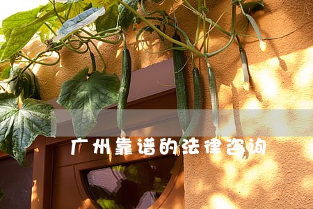 广州靠谱的法律咨询 广州靠谱的法律咨询