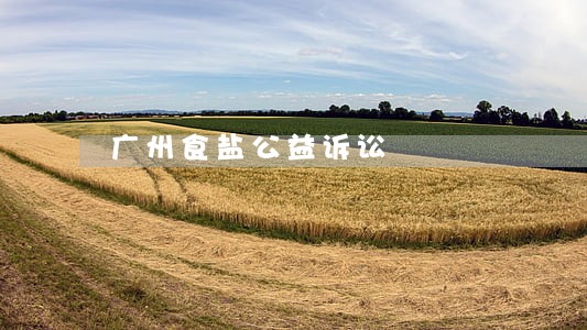 广州食盐公益诉讼 广州食盐公益诉讼