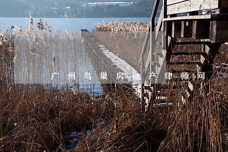 广州鸟巢房地产律师网 广州鸟巢房地产律师网