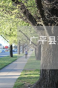 广平县董鸣笛违法 广平县董鸣笛违法