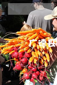广德县拍卖厂房