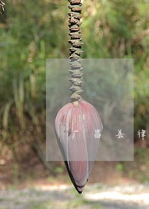 广昌县律师收费标准 广昌县律师收费标准