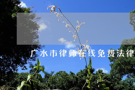 广水市律师在线免费法律咨询 广水市律师在线免费法律咨询