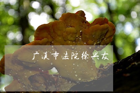 广汉市法院徐兴友