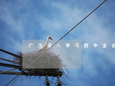 广汉深入学习四中全会精神