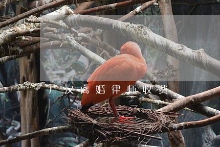 广汉离婚律师收费 广汉离婚律师收费