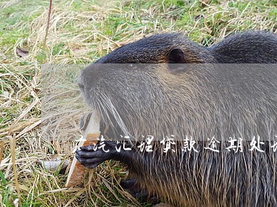 广汽汇理贷款逾期处理方式 广汽汇理贷款逾期处理方式