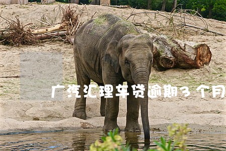 广汽汇理车贷逾期3个月 广汽汇理车贷逾期3个月