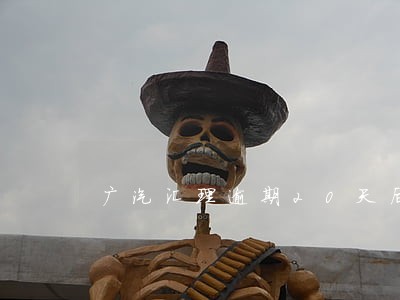 广汽汇理逾期20天后果 广汽汇理逾期20天后果