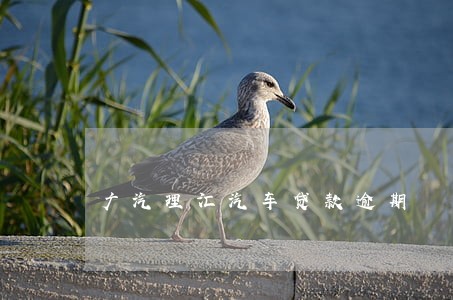 广汽理汇汽车贷款逾期 广汽理汇汽车贷款逾期