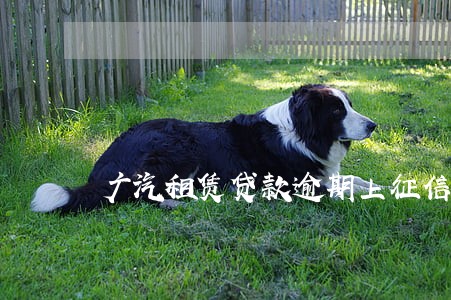 广汽租赁贷款逾期上征信吗