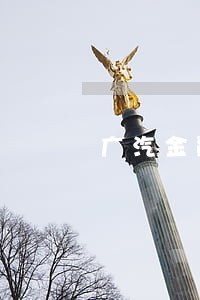 广汽金融逾期2年 广汽金融逾期2年