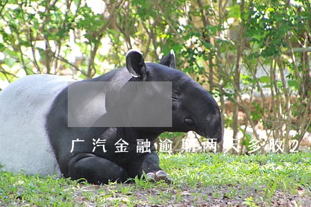 广汽金融逾期两天多收200