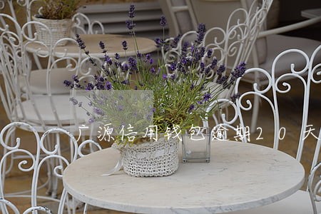 广源信用钱包逾期20天 广源信用钱包逾期20天