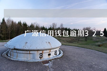 广源信用钱包逾期325天 广源信用钱包逾期325天