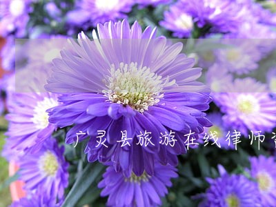 广灵县旅游在线律师咨询 广灵县旅游在线律师咨询