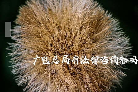 广电总局有法律咨询部吗 广电总局有法律咨询部吗