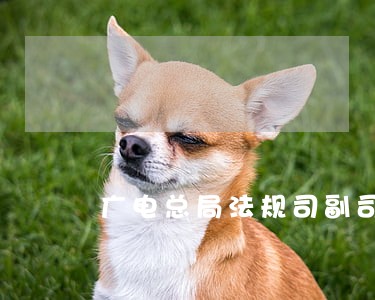 广电总局法规司副司长 广电总局法规司副司长