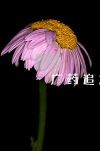 广药追加诉讼请求 广药追加诉讼请求