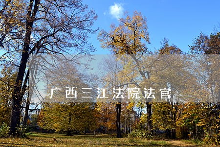 广西三江法院法官 广西三江法院法官