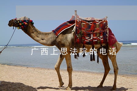 广西上思法院的电话 广西上思法院的电话