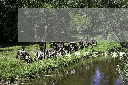 广西上林县房产专业律师