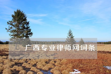 广西专业律师网词条