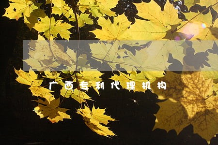 广西专利代理机构 广西专利代理机构