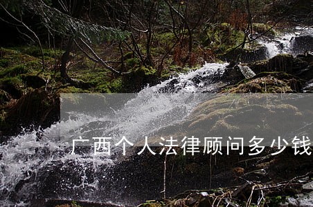 广西个人法律顾问多少钱 广西个人法律顾问多少钱
