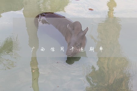 广西信用卡逾期率 广西信用卡逾期率