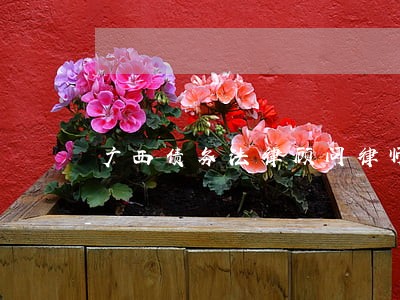 广西债务法律顾问律师 广西债务法律顾问律师