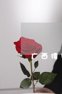 广西债务诉讼律师 广西债务诉讼律师