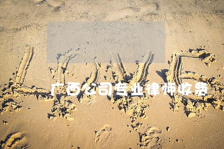 广西公司专业律师收费 广西公司专业律师收费