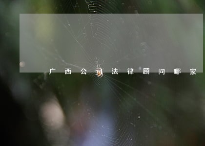 广西公司法律顾问哪家好 广西公司法律顾问哪家好