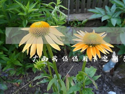 广西农信信用卡逾期多久恢复信用 广西农信信用卡逾期多久恢复信用