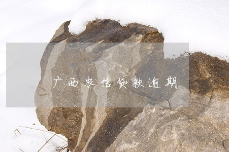 广西农信贷款逾期 广西农信贷款逾期