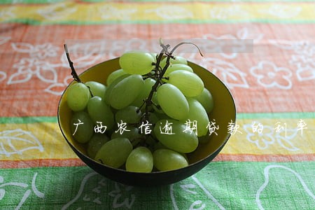广西农信逾期贷款的利率是多少 广西农信逾期贷款的利率是多少