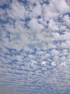 广西农村信用社贷款逾期2天 广西农村信用社贷款逾期2天