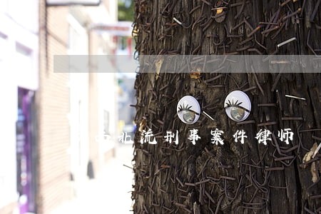 广西北流刑事案件律师 广西北流刑事案件律师