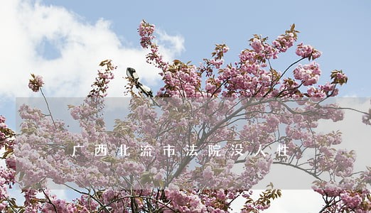 广西北流市法院没人性