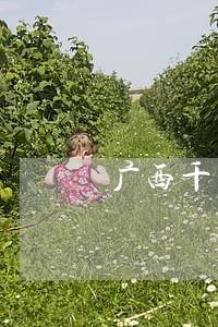 广西千里眼法律咨询 广西千里眼法律咨询