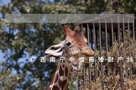 广西南宁中恒离婚财产纠纷 广西南宁中恒离婚财产纠纷