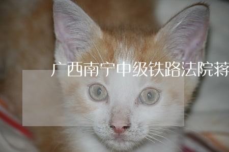 广西南宁中级铁路法院蒋振军