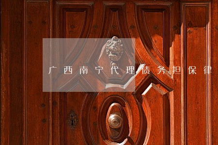 广西南宁代理债务担保律师团队 广西南宁代理债务担保律师团队
