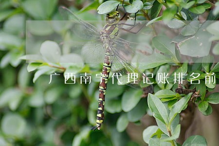 广西南宁代理记账排名前十 广西南宁代理记账排名前十