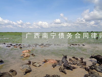 广西南宁债务合同律师地址 广西南宁债务合同律师地址