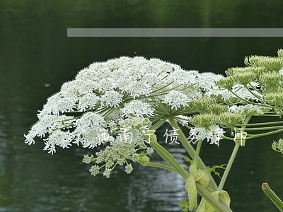 广西南宁债务律师 广西南宁债务律师