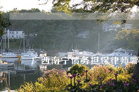 广西南宁债务担保律师哪里找 广西南宁债务担保律师哪里找